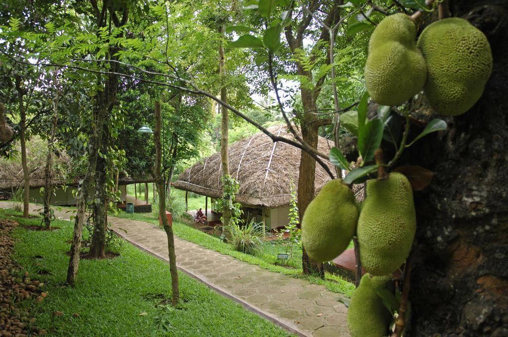 Spice Village Thekkady - A Cgh Earth Experience Екстер'єр фото