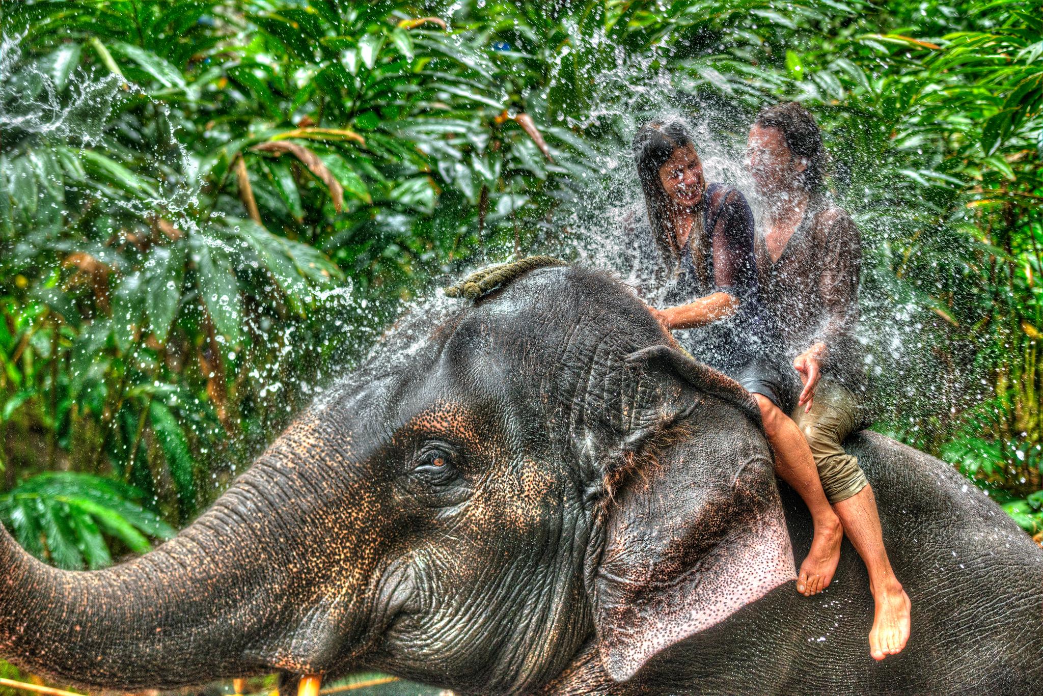Spice Village Thekkady - A Cgh Earth Experience Екстер'єр фото